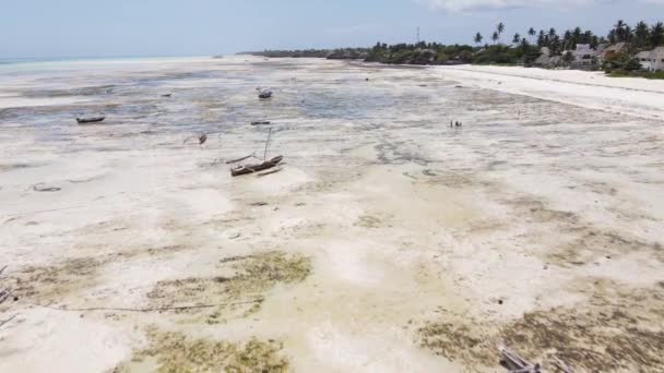 Okyanus, Tanzanya 'nın Zanzibar adası kıyısında gelgitte, yavaş çekim — Stok video