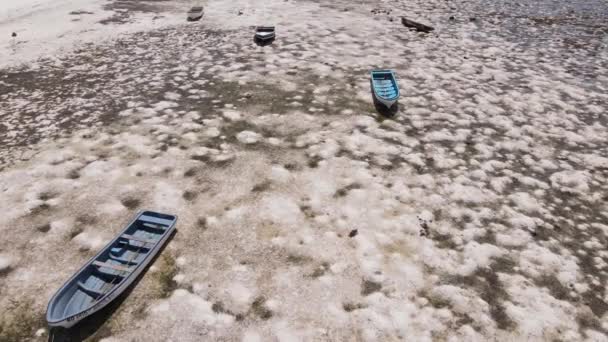 탄자니아 잔지바르 해안 근처의 바다에서의 썰물, 느린 움직임 — 비디오