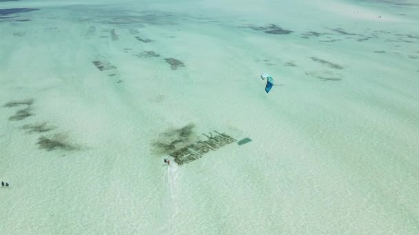 Zanzibár, Tanzánia: Kitesurfing a part mellett, lassított felvétel — Stock videók