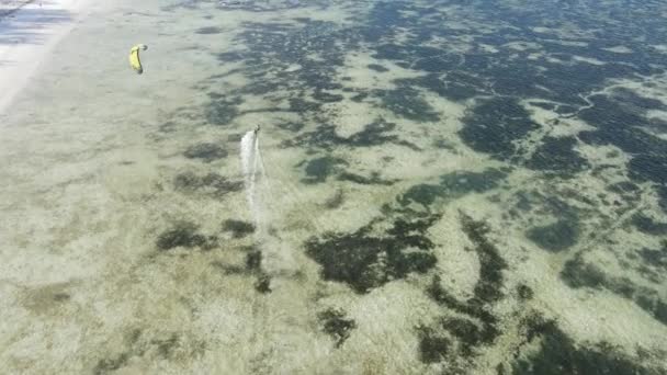 Zanzibar, Τανζανία: Kitesurfing κοντά στην ακτή, αργή κίνηση — Αρχείο Βίντεο