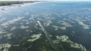 Zanzibar, Tanzanya: Kıyıya yakın uçurtma, yavaş çekim