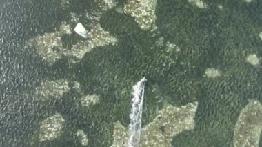 Zanzibar, Tanzanya: Kıyıya yakın uçurtma, yavaş çekim