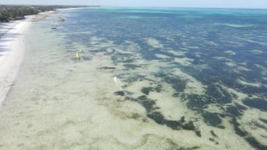 Zanzibar, Tanzanya: Kıyıya yakın uçurtma, yavaş çekim