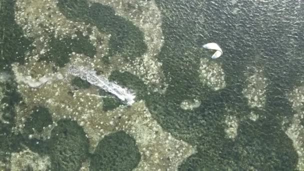 Zanzíbar, Tanzania: Kitesurf cerca de la orilla, cámara lenta — Vídeo de stock