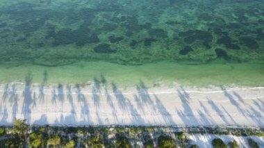 Tanzanya 'nın Zanzibar adasındaki sahilin havadan görüntüsü, yavaş çekim.