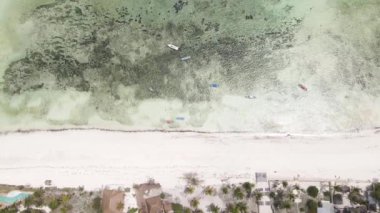Tanzanya 'nın Zanzibar adası kıyısında güzel bir sahil.