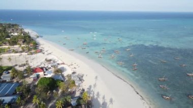 Tanzanya 'nın Zanzibar adası kıyısında güzel bir sahil.
