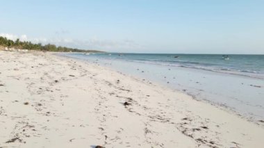 Tanzanya 'nın Zanzibar adasındaki sahilin havadan görüntüsü, yavaş çekim.