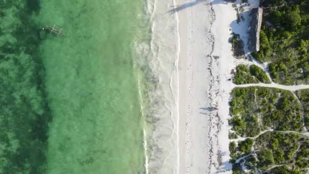 มุมมองทางอากาศของชายหาดบนเกาะซานซิบาร์ แทนซาเนีย การเคลื่อนไหวช้า — วีดีโอสต็อก