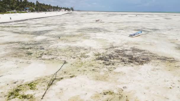 Tanzanya 'daki Zanzibar adasında plaj, ağır çekim. — Stok video