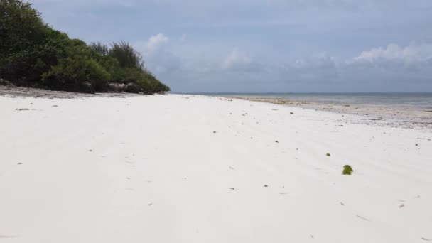 Остров Занзибар, Танзания: вид с воздуха на пляж у берега, медленное движение — стоковое видео