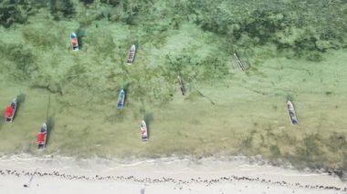 Tanzanya 'nın Zanzibar kıyısındaki tekneler ağır çekimde