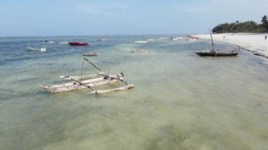 Tanzanya 'nın Zanzibar kıyısındaki tekneler ağır çekimde