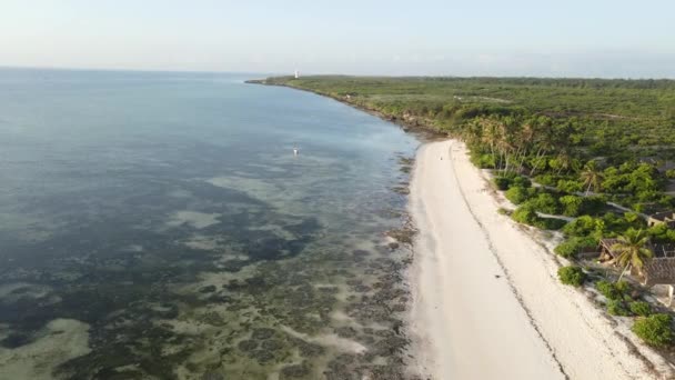 Widok z powietrza na plażę na wyspie Zanzibar, Tanzania, zwolnione tempo — Wideo stockowe