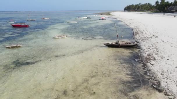 Bateaux dans l'océan près de la côte de Zanzibar, Tanzanie, ralenti — Video