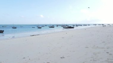 Tanzanya 'nın Zanzibar kıyısındaki tekneler ağır çekimde