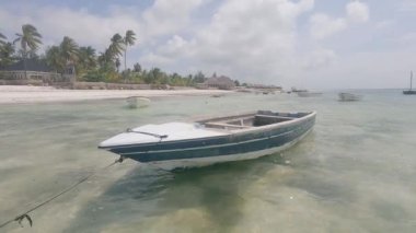 Zanzibar, Tanzanya - kıyıya yakın tekne, yavaş çekim