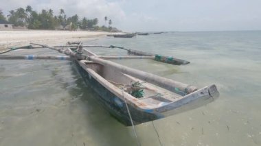 Zanzibar, Tanzanya - kıyıya yakın tekne, yavaş çekim