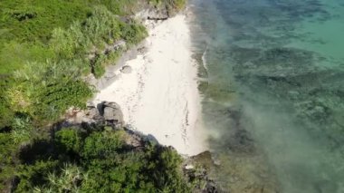 Tanzanya, Zanzibar adasındaki boş plaj, yavaş çekim