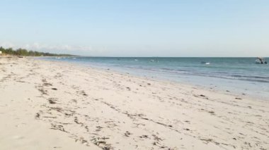 Tanzanya, Zanzibar adasındaki boş plaj, yavaş çekim