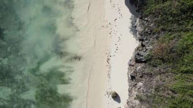 Tanzanya, Zanzibar adasındaki boş plaj, yavaş çekim