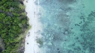 Tanzanya, Zanzibar adasındaki boş plaj, yavaş çekim