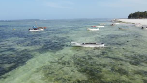 Tanzanya 'nın Zanzibar kıyısındaki tekneler ağır çekimde — Stok video