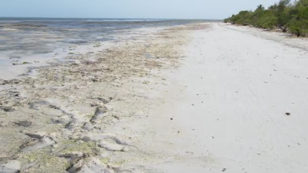 Üres strand Zanzibár szigetén, Tanzánia, lassított felvétel — Stock videók