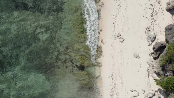 탄자니아 잔지바르 섬의 텅 빈 해변, 느린 동작 — 비디오