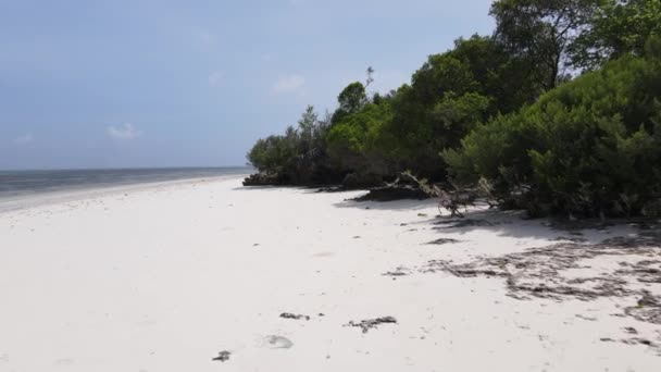 Leeg strand op Zanzibar eiland, Tanzania, slow motion — Stockvideo