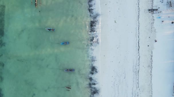 Üres strand Zanzibár szigetén, Tanzánia, lassított felvétel — Stock videók