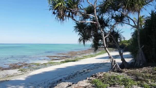 Üres strand Zanzibár szigetén, Tanzánia, lassított felvétel — Stock videók