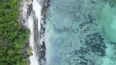 Tanzanya, Zanzibar adasındaki boş plaj, yavaş çekim