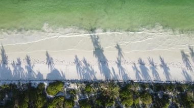 Tanzanya, Zanzibar adasındaki boş plaj, yavaş çekim