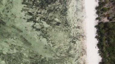 Tanzanya, Zanzibar adasındaki boş plaj, yavaş çekim