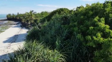 Tanzanya, Zanzibar adasındaki boş plaj, yavaş çekim