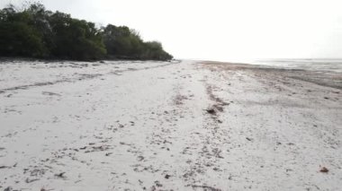 Tanzanya, Zanzibar adasındaki boş plaj, yavaş çekim