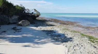 Tanzanya, Zanzibar adasındaki boş plaj, yavaş çekim