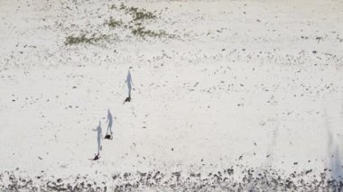 Zanzibar, Tanzanya: İnsanlar plajda yavaş çekimde futbol oynuyor