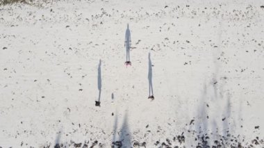 Zanzibar, Tanzanya: İnsanlar plajda yavaş çekimde futbol oynuyor