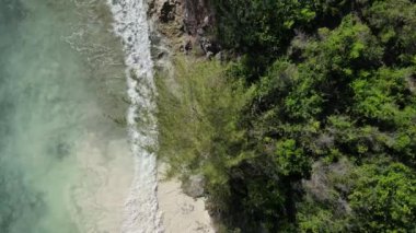 Tanzanya 'nın Zanzibar adasının kıyısındaki çalılıklar, ağır çekim