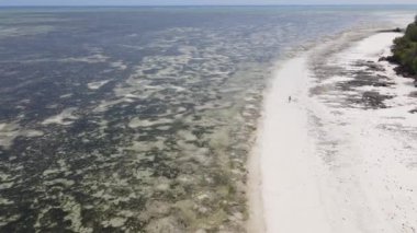 Yalnız bir kadın sahilde yürüyor dalgalar alçaldığında Zanzibar 'da, yavaş çekim