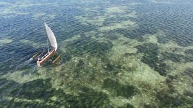 Tanzanya 'nın Zanzibar kıyısındaki tekneler ağır çekimde
