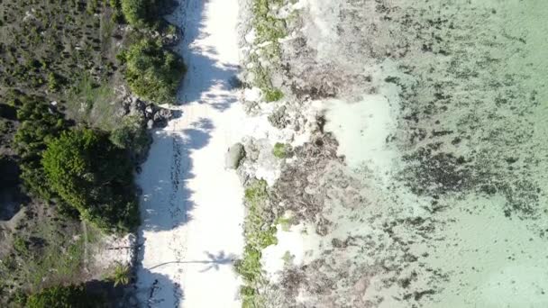 Üres strand Zanzibár szigetén, Tanzánia, lassított felvétel — Stock videók