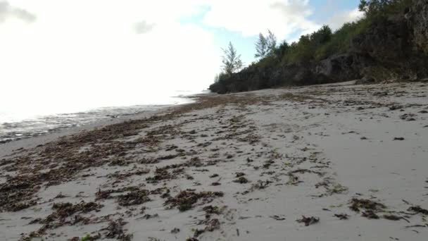 Leerer Strand auf der Insel Sansibar, Tansania, Zeitlupe — Stockvideo