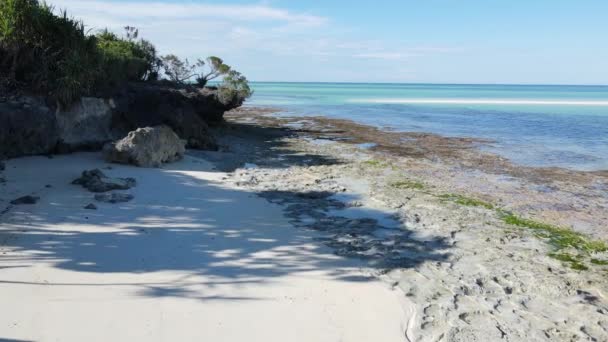 Playa vacía en la isla de Zanzíbar, Tanzania, cámara lenta — Vídeo de stock
