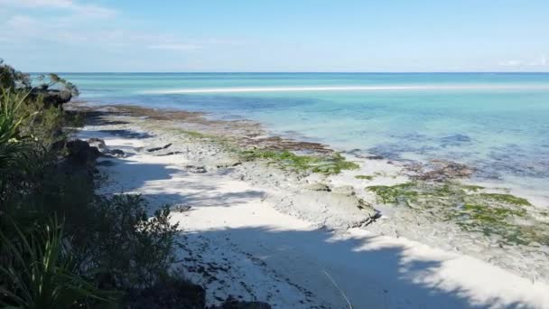 Spiaggia vuota sull'isola di Zanzibar, Tanzania, rallentatore — Video Stock
