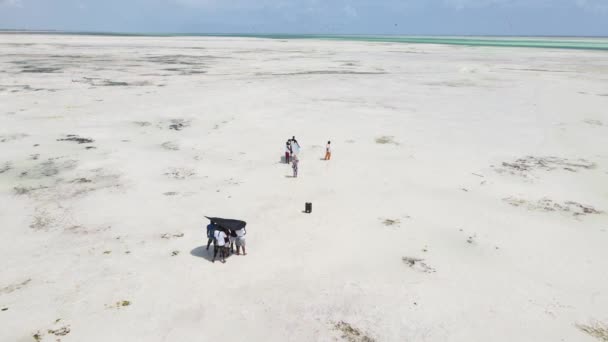 Za kulisami kręcenia: kręcenie teledysku podczas odpływu w oceanie u wybrzeży Zanzibaru, Tanzania, zwolnione tempo — Wideo stockowe