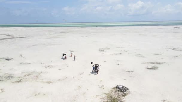Film çekiminin sahne arkası: Tanzanya 'nın Zanzibar sahilinde alçak gelgitte bir müzik videosu çekmek. — Stok video
