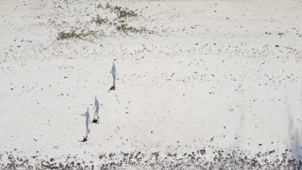 Zanzibar, Tanzania: Folk spelar fotboll på stranden, slow motion — Stockvideo